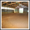 Indoor Arena